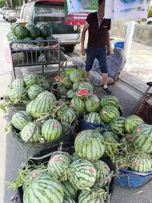 潮州网红吃瓜事件,一场网络舆论的发酵与反思