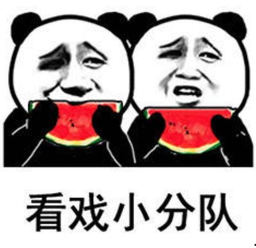 网课吃瓜表情包头像,趣味横生的学习时光