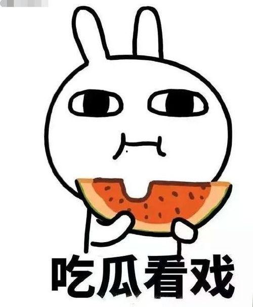 在娱乐圈吃瓜的沙雕小说,沙雕吃瓜日常，笑料百出