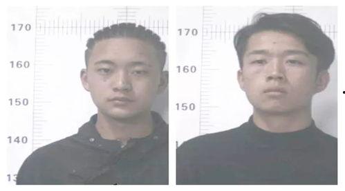 51吃瓜群众网怎么进,轻松入门攻略